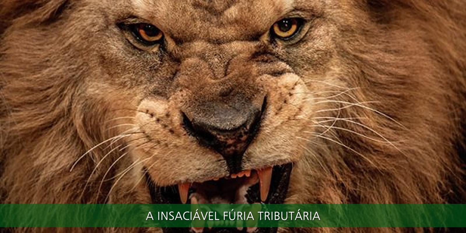 ATRASAR IMPOSTOS. VOCÊ PODE EVITAR O DRAMA DE UMA FALÊNCIA ANUNCIADA